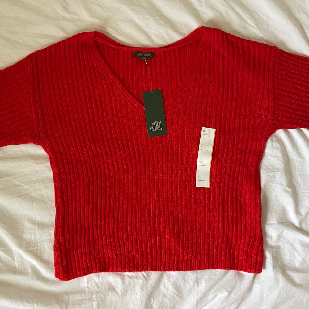 Wild Fable Red Cropped V-Neck Sweater